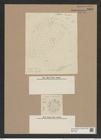 Stephanopyxis grunowii Gr. et St. (de-Toni-Nr.: Genus 187, Species 4653) Zeichnungen Sammlung Grunow Nr. 8300 (NHMW-BOT-W0377699)